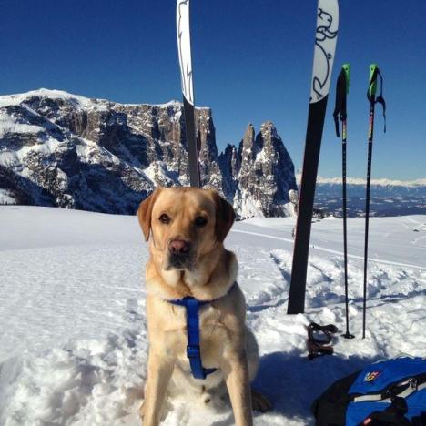 SkitourSeiserAlm