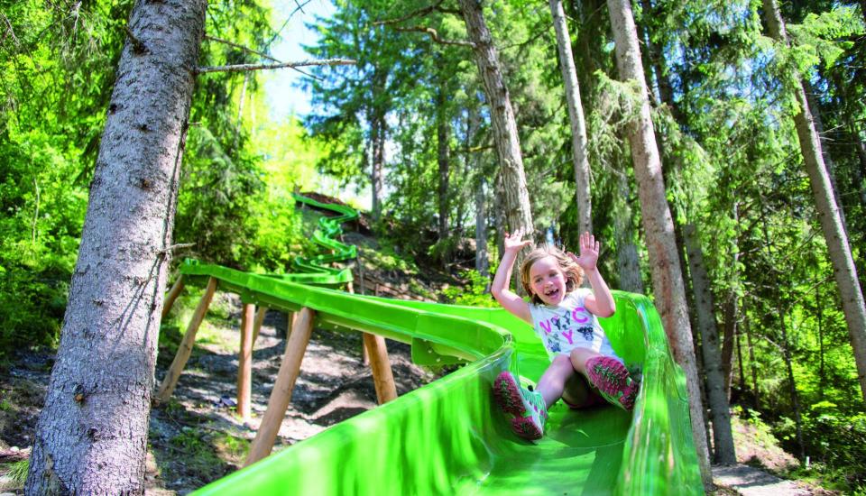 kinderwelt-6-c-rotwild